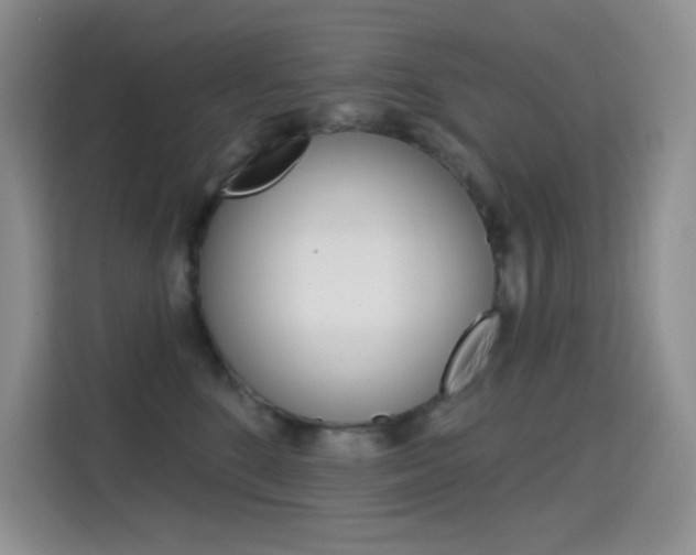 X0000114730520200910211105