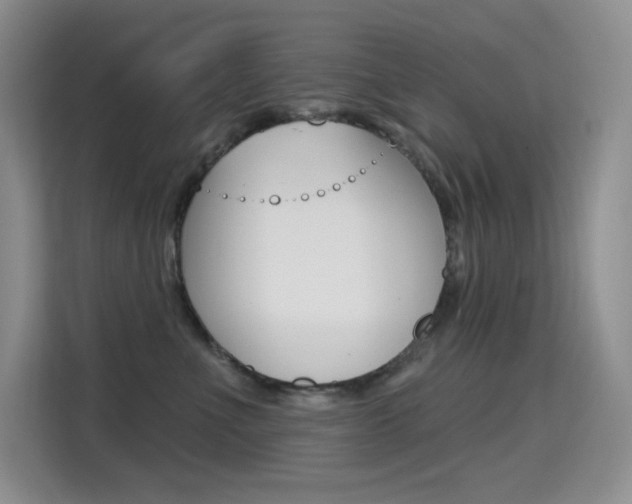 X0000114730523200910211105