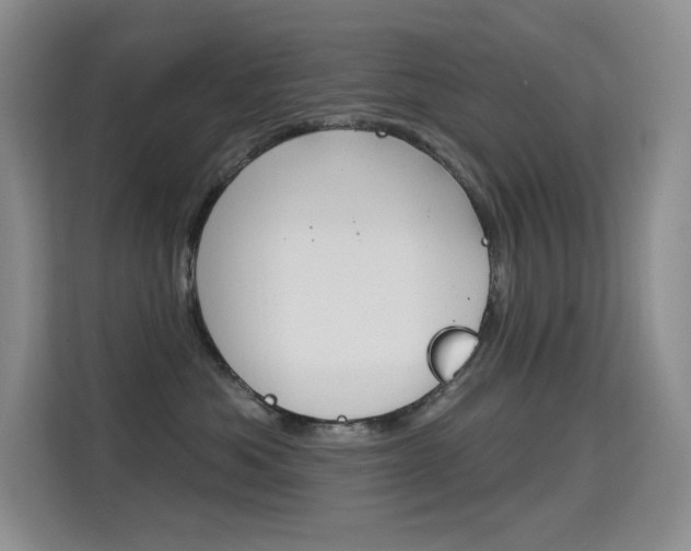 X0000114730525200910211105