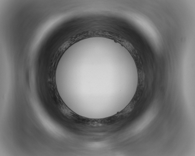 X0000114730526200910211105