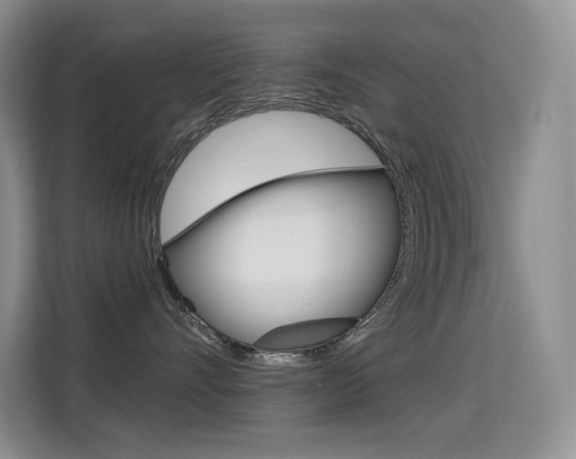 X0000114730528200910211105