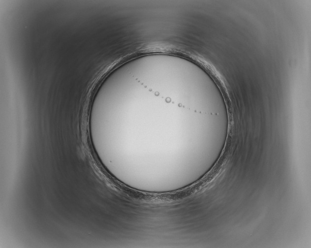 X0000114730529200910211104