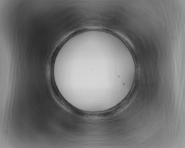 X0000114730533200910211104