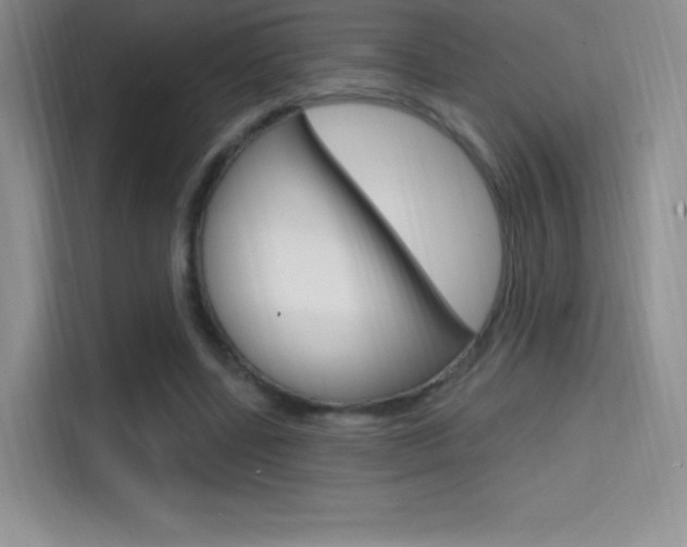 X0000114730539200910211105