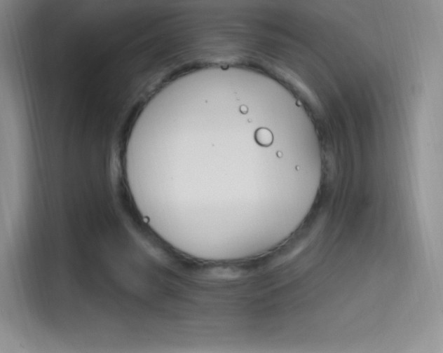 X0000114730541200910211105