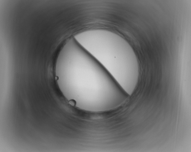 X0000114730547200910211105