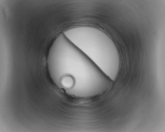 X0000114730555200910211105