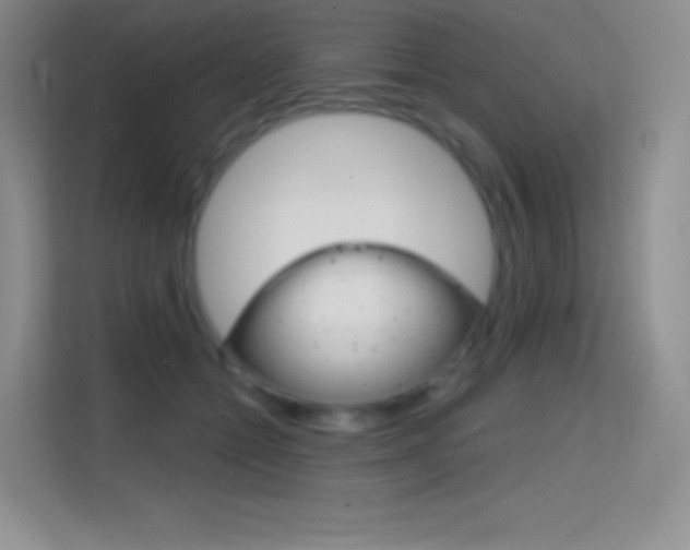 X0000114730558200910211105