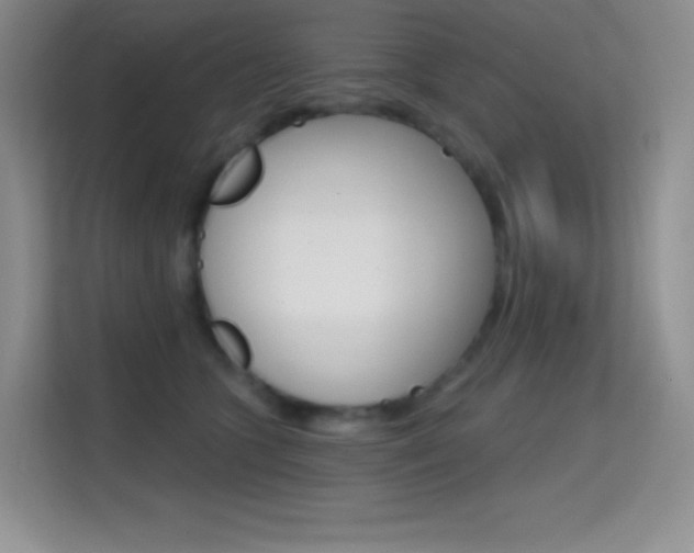 X0000114730563200910211105