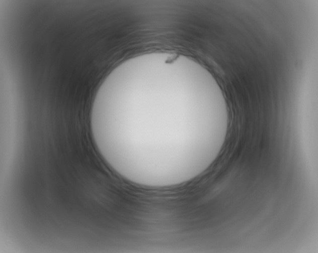 X0000114730565200910211105