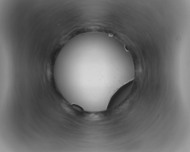 X0000114730566200910211105