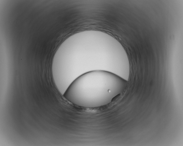X0000114730570200910211105