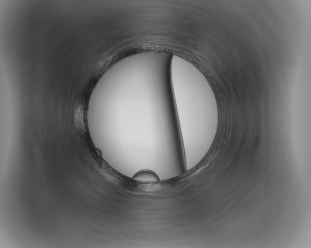 X0000114730575200910211105