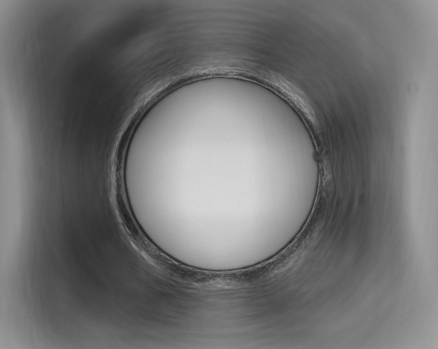 X0000114730578200910211104