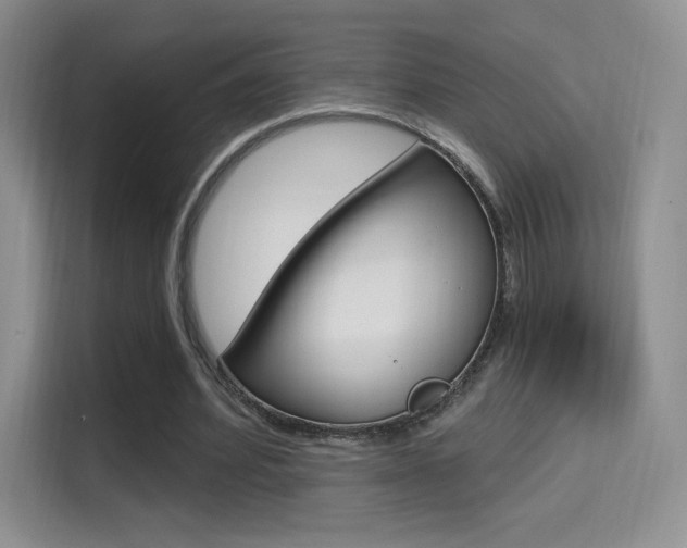 X0000114730580200910211104