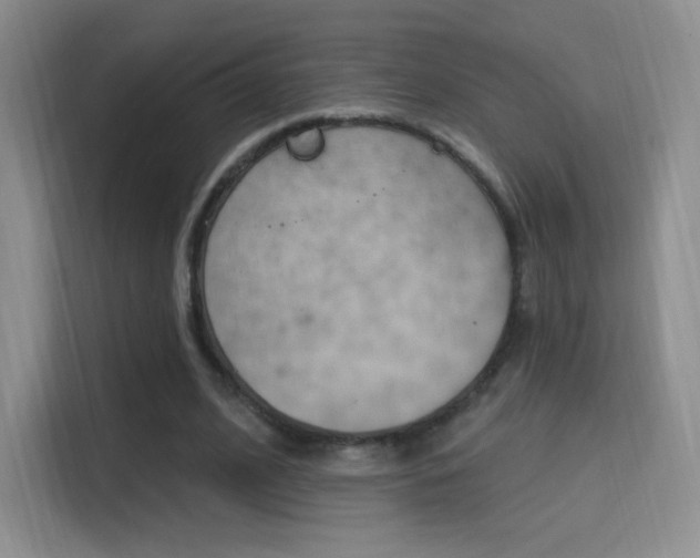 X0000114730584200910211104
