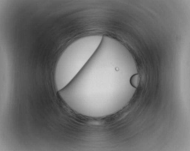 X0000114730595200910211104