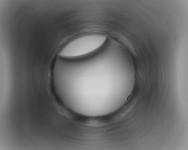 X0000114730596200910211104