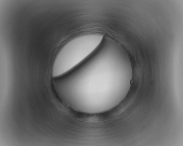 X0000114730600200910211104