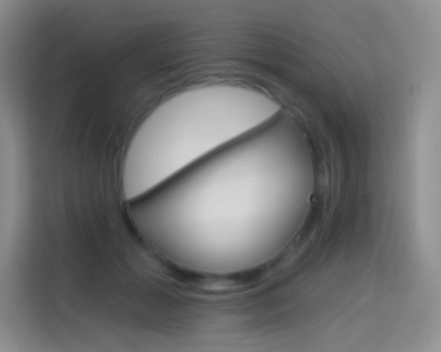 X0000114730605200910211104