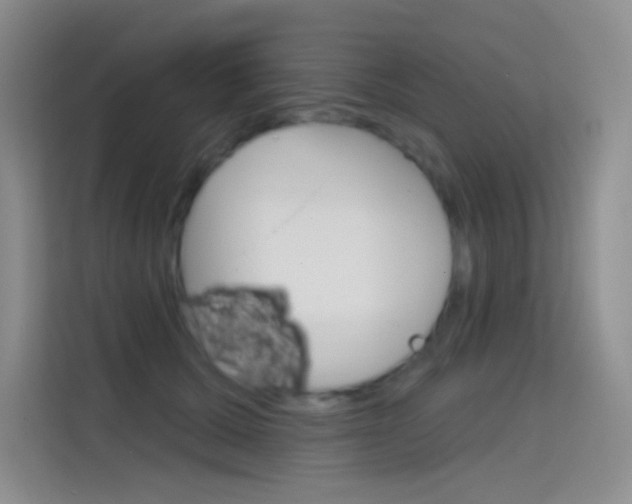X0000114730607200910211104