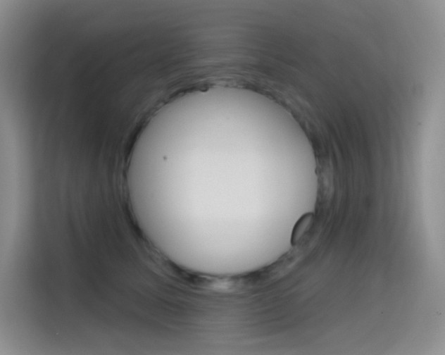 X0000114730611200910211104