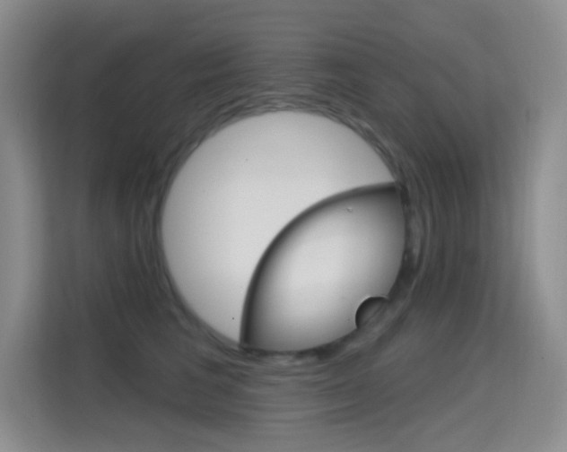 X0000114730613200910211104
