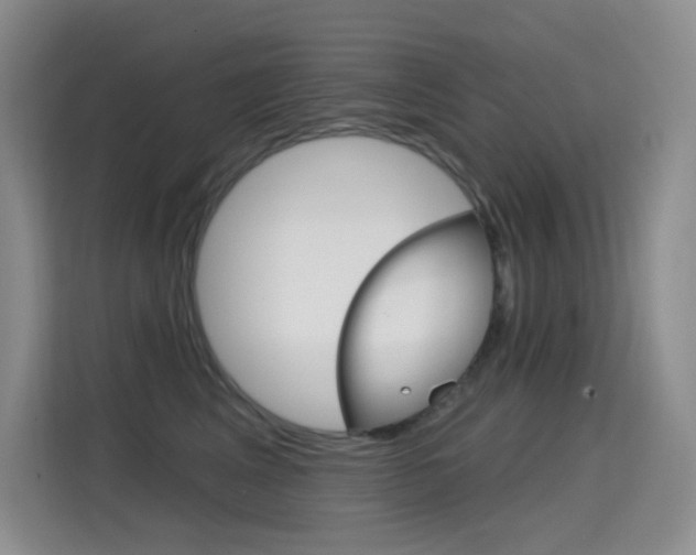 X0000114730617200910211104