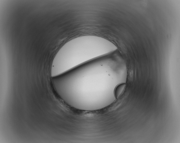 X0000114730620200910211104