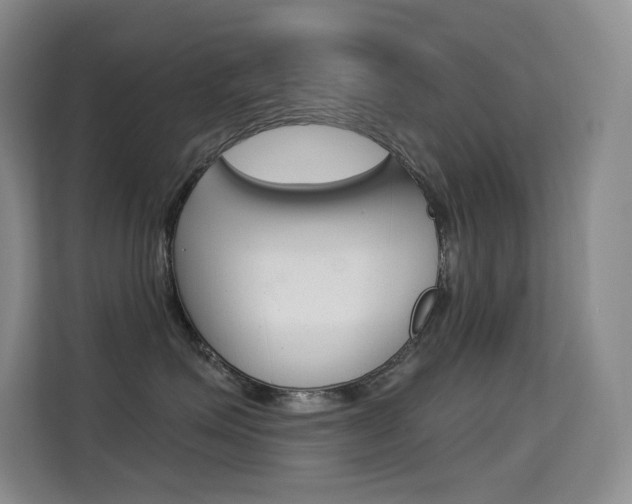 X0000114730623200910211104