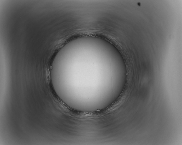 X0000114730624200910211104
