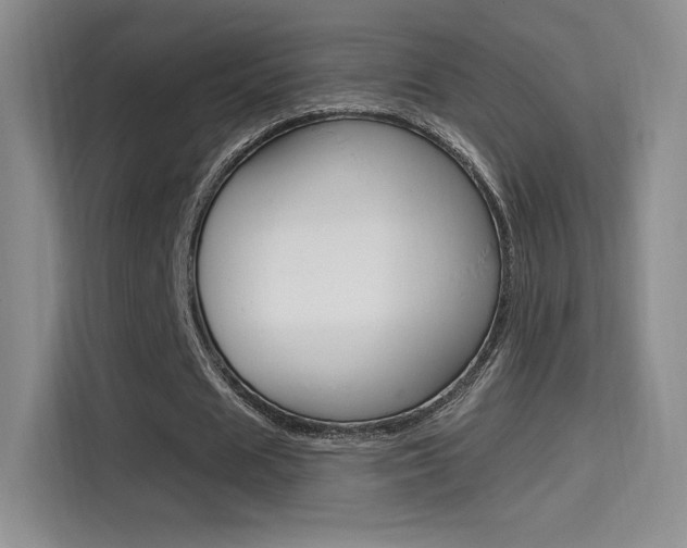 X0000114730625200910211103