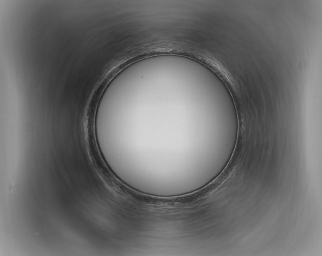 X0000114730626200910211103