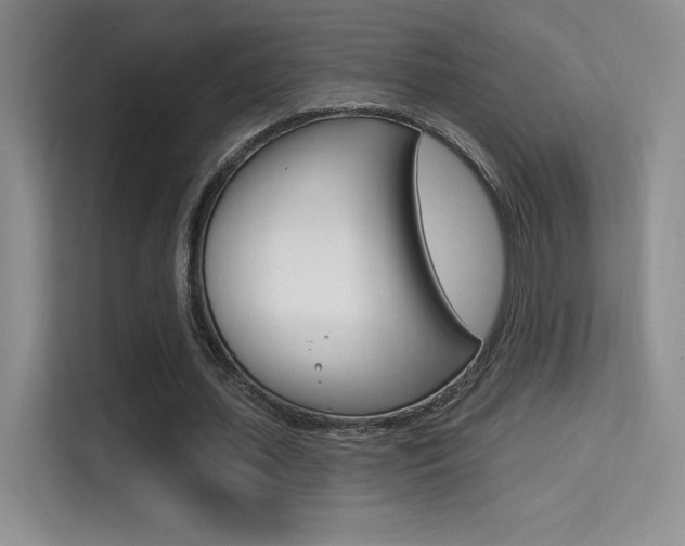 X0000114730627200910211103