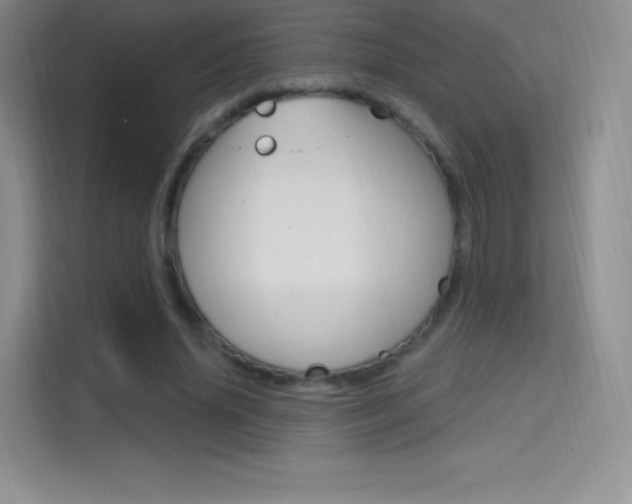 X0000114730636200910211103