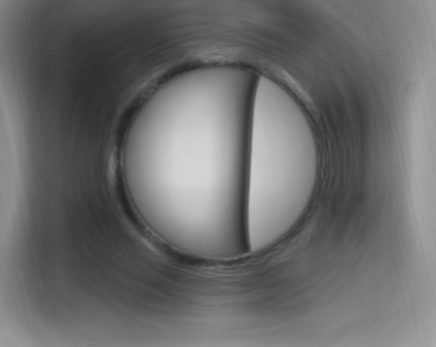 X0000114730637200910211103