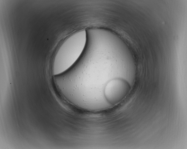 X0000114730638200910211103