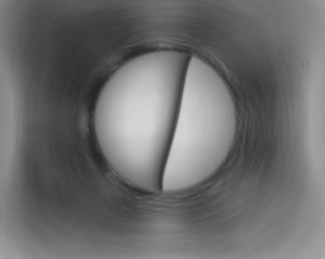 X0000114730643200910211103