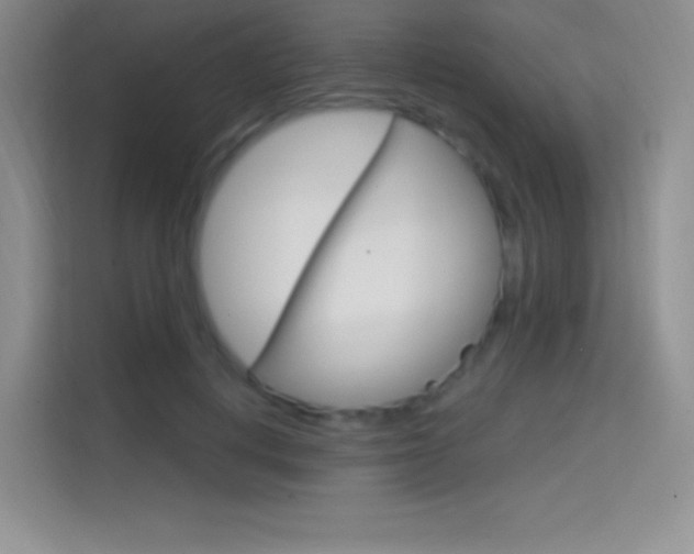 X0000114730648200910211103