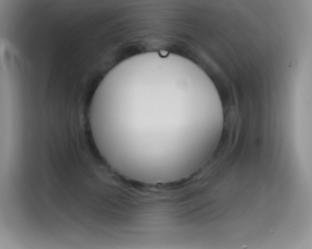 X0000114730655200910211104