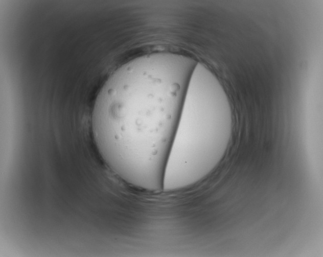 X0000114730657200910211104