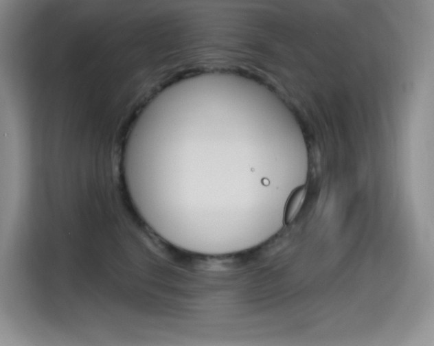X0000114730664200910211104