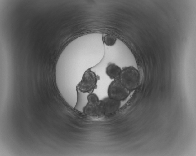 X0000114730668200910211104