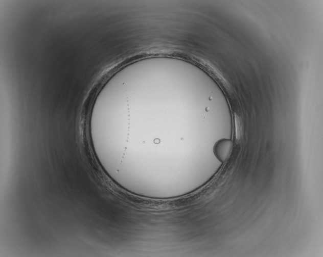 X0000114730675200910211103