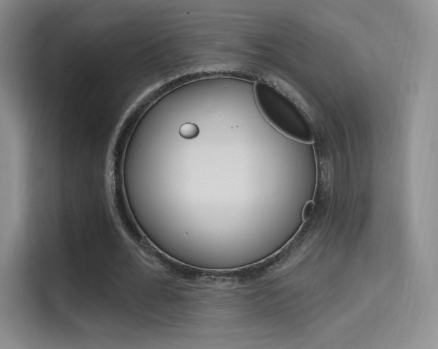 X0000114730676200910211103