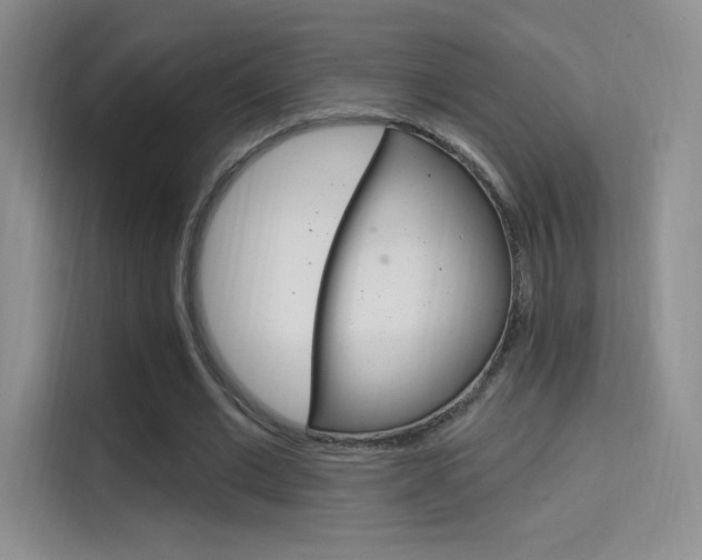 X0000114730677200910211103