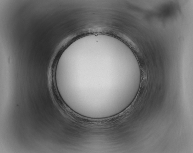 X0000114730678200910211103