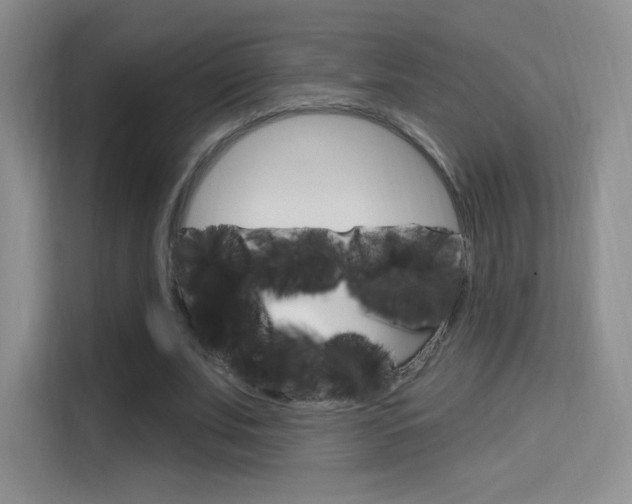 X0000114730679200910211103