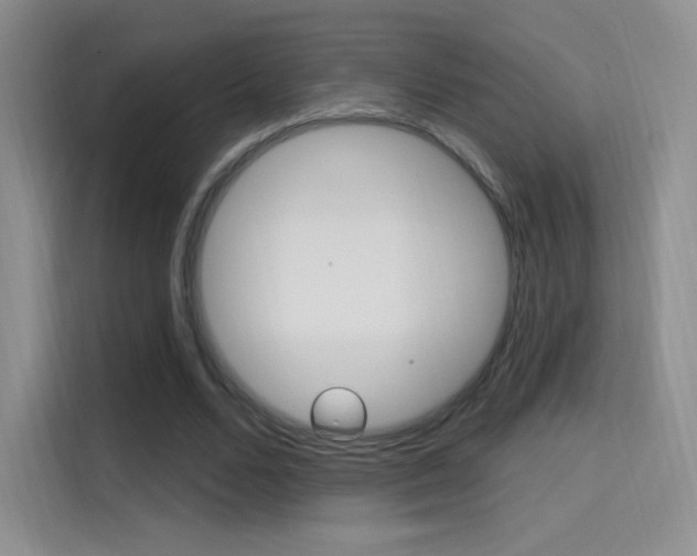 X0000114730680200910211103