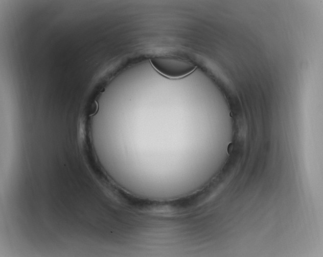 X0000114730685200910211103